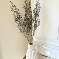 Naturally Dried Strillingia - without pods