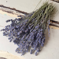 Dried Lavender bunch - blue purple