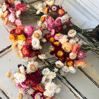 Naturally Dried Strawflower Daisy flower bunch - Helichrysum / Everlasting / Paper Daisy - stems / heads