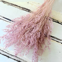 Soft / Vivid Hue Preserved Limonium | Misty | Sea Lavender