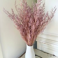 Soft / Vivid Hue Preserved Limonium | Misty | Sea Lavender