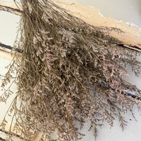 Naturally Dried / Prserved Misty | Limonium | Sea Lavender