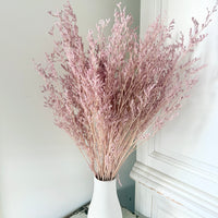 Soft / Vivid Hue Preserved Limonium | Misty | Sea Lavender