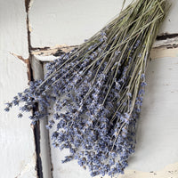 Dried Lavender bunch - blue purple