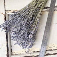 Dried Lavender bunch - blue purple