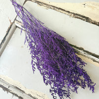 Soft / Vivid Hue Preserved Limonium | Misty | Sea Lavender