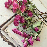Naturally Dried Spray Rose