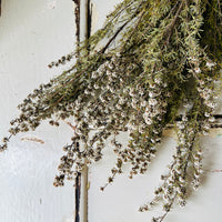 天然干燥茶树/茶树 - 绿白色
