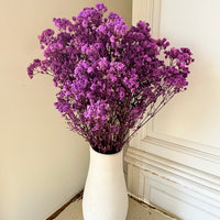 Preserved Baby's Breath