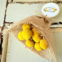 Everlasting Naturally Dried Billy Button Bouquet