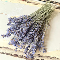 Dried Lavender bunch - blue purple