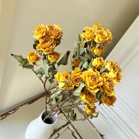 Dried Spray Mini Rose