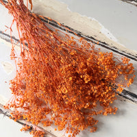 Preserved Baby's Breath