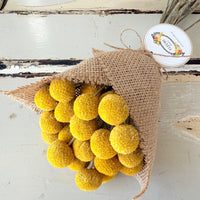 Everlasting Naturally Dried Billy Button Bouquet