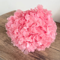 Preserved Hydrangea Stem