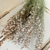 Naturally Dried Ti Tree / Tea Tree - green white