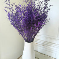 Soft / Vivid Hue Preserved Limonium | Misty | Sea Lavender