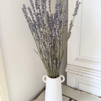 Dried Lavender bunch - blue purple