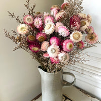 Naturally Dried Strawflower Daisy flower bunch - Helichrysum / Everlasting / Paper Daisy - stems / heads