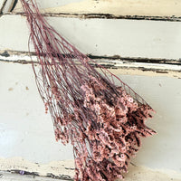 Preserved Crystal Grass / Caspea