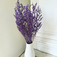 Soft / Vivid Hue Preserved Limonium | Misty | Sea Lavender