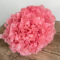 Preserved Hydrangea Stem