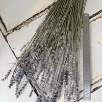 Dried Lavender bunch - blue purple