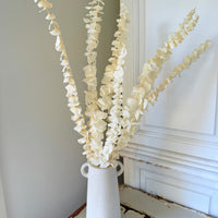 浅色保存的桉树 | 桉树胶 | 淡蓝色