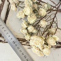 Dried Spray Mini Rose