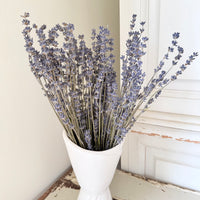 Dried Lavender bunch - blue purple