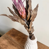 Dried Banksia & King Protea & Protea - Australian Native