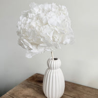 Preserved Hydrangea Stem