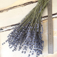 Naturally Dried Lavender bunch - blue purple