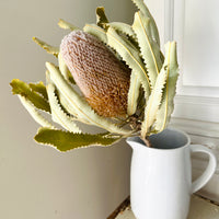 Naturally Dried Banksia & King Protea & Protea - Australian Native