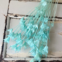 Naturally Dried / Coloured Nigella Flower