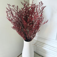 Soft / Vivid Hue Preserved Limonium | Misty | Sea Lavender