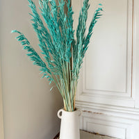 Naturally Dried / Coloured Oat / Avena