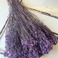 Preserved Crystal Grass / Caspea