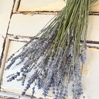 Naturally Dried Lavender bunch - blue purple