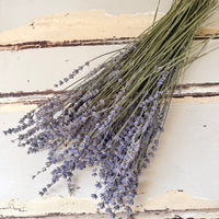 Dried Lavender bunch - blue purple