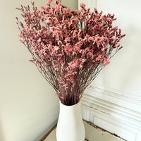 Preserved Crystal Grass / Caspea