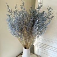 Soft / Vivid Hue Preserved Limonium | Misty | Sea Lavender