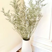 Naturally Dried / Prserved Misty | Limonium | Sea Lavender