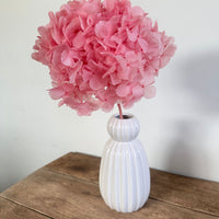 Preserved Hydrangea Stem