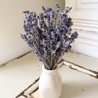 Dried Lavender bunch - blue purple