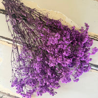 Preserved Baby's Breath