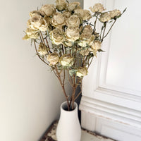 Dried Spray Mini Rose