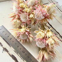 Naturally Dried Blushing Bride - natural pink