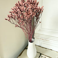 Preserved Crystal Grass / Caspea