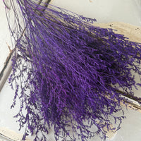 Soft / Vivid Hue Preserved Limonium | Misty | Sea Lavender
